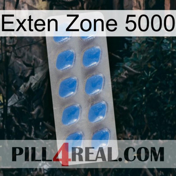 Exten Zone 5000 22.jpg